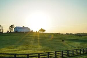 bank owned properties in kentucky